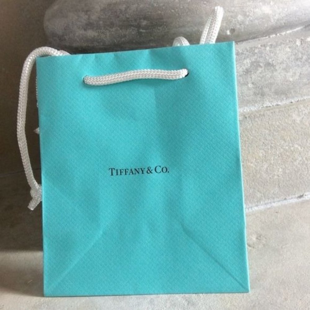 Tiffany & Co Small Blue Paper Gift Bag NEW